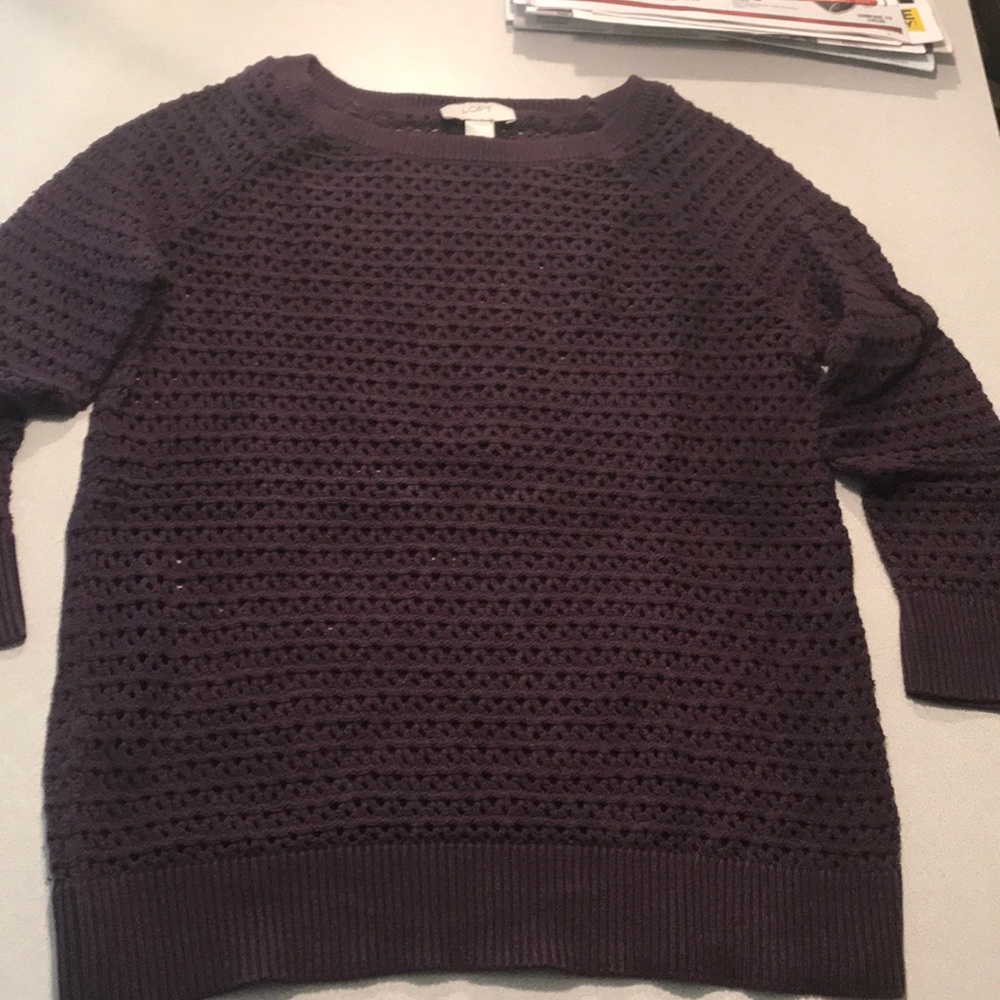 Ann Taylor Loft sweater